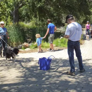 Trails n Tails 2014