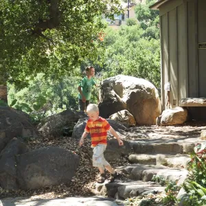 Trails n Tails 2014, boys playing near information kiosk