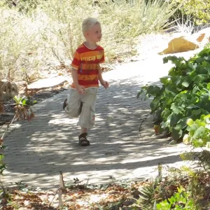 Trails n Tails 2014, boy playing near information kiosk