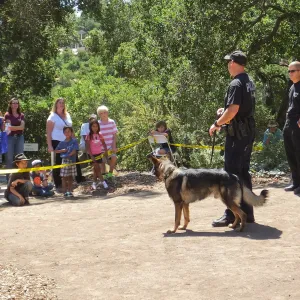 Trails n Tails 2014, Police K-9 Demonstration