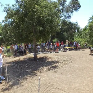 Trails n Tails 2014, Police K-9 Demonstration