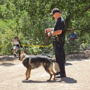 Trails n Tails 2014, Police K-9 Demonstration
