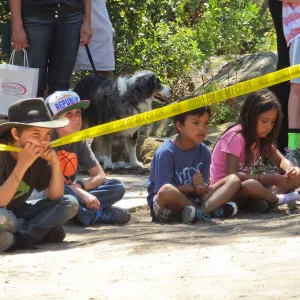 Trails n Tails 2014, Police K-9 Demonstration