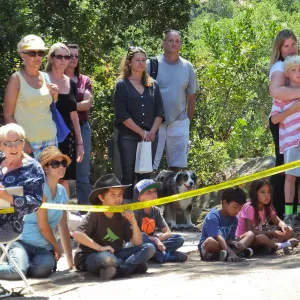 Trails n Tails 2014, Police K-9 Demonstration