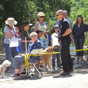 Trails n Tails 2014, Police K-9 Demonstration