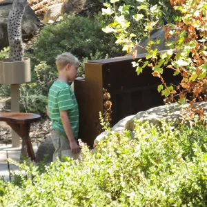Trails n Tails 2014, Boy and piano on Arroyo stage