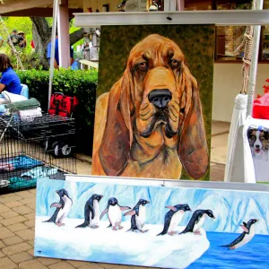 Trails n Tails 2014, Mary-Jo Murphy display