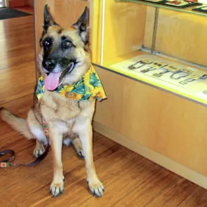 Trails n Tails 2014