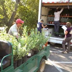 Fall Plant Sale 2014 Preparations