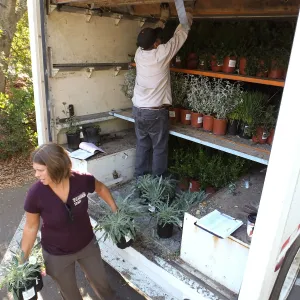 Fall Plant Sale 2014 Preparations