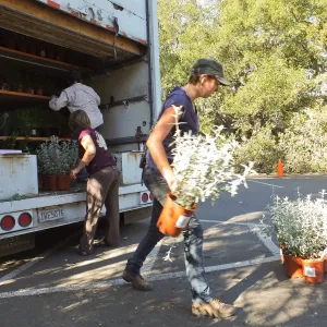 Fall Plant Sale 2014 Preparations