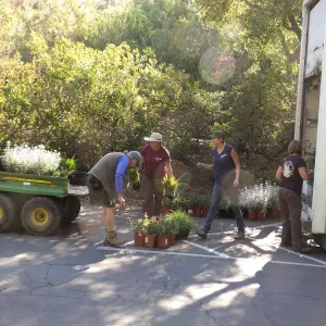Fall Plant Sale 2014 Preparations