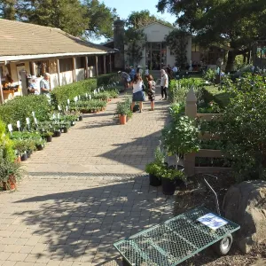 Fall Plant Sale 2014 Member Preview Party
