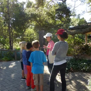Chumash Uses of Plants Tour for 3rd Graders from Cold Springs School