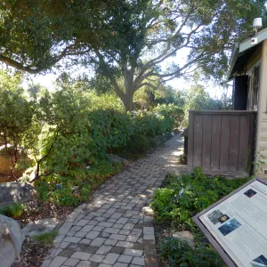 Home Demonstration Garden
