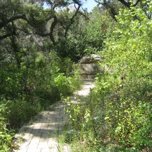 Campbell Bench site before maintenance