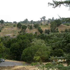 Pritzloff Conservation Center story pole study. View of east side