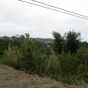 Pritzloff Conservation Center story pole study
