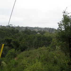 Pritzloff Conservation Center story pole study