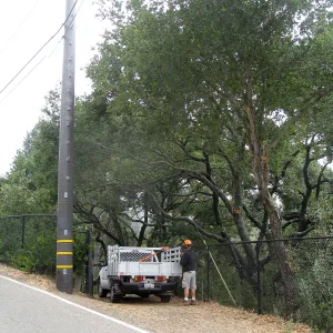 Lifting oak canopy at Tunnel Rd gate before delivery of Campbell bridge materials