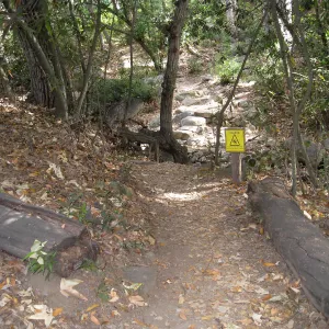 Upper creek crossing 