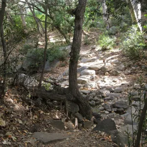 Upper creek crossing 
