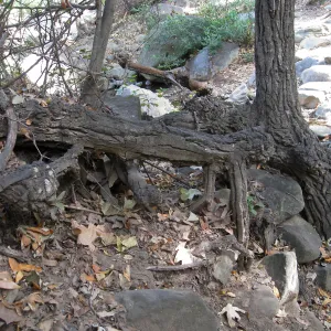 Upper creek crossing 
