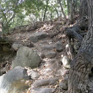 Upper creek crossing 
