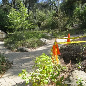 Irrigation valve near Campbell Bench