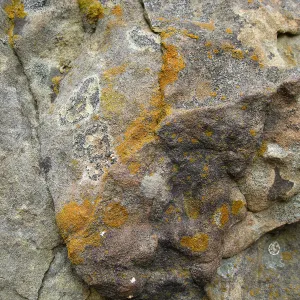 Rocks in the Arroyo