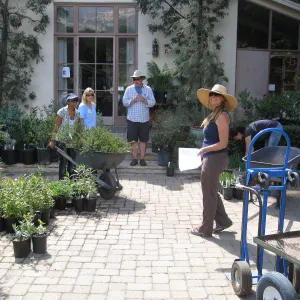 Fall Plant Sale set-up