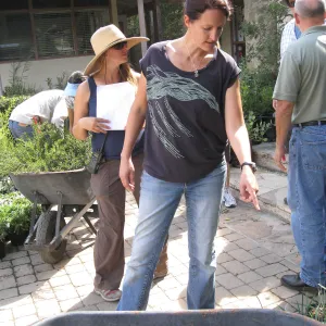 Denise Knapp, Fall Plant Sale set-up