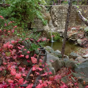 Rogers California Grape below Mission Dam