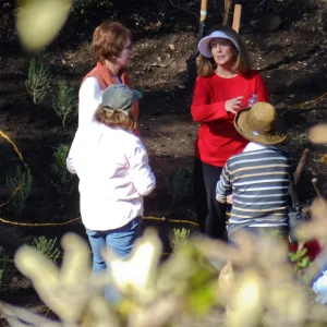 Centennial Maze Planting