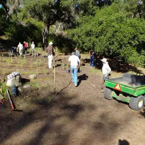 Centennial Maze Planting