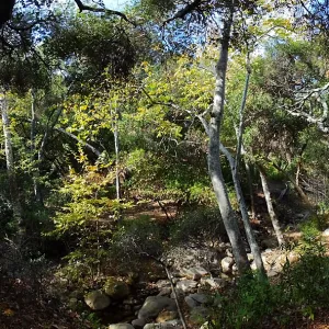 View from east wall of Mission Canyon on trail below Manzanita Section