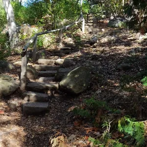 View from east wall of Mission Canyon on trail below Manzanita Section