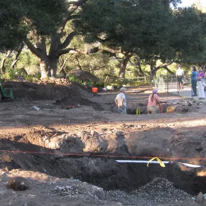 2012 Meadow Oaks Planting