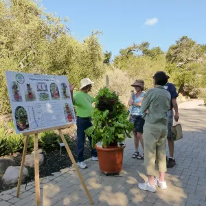 Drip Irrigation Workshop