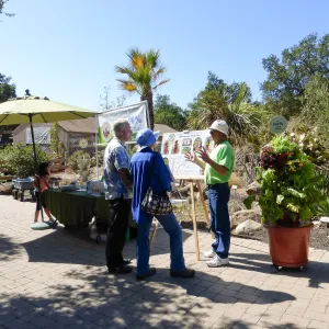 Drip Irrigation Workshop