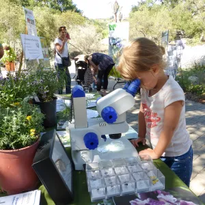 Drip Irrigation Workshop