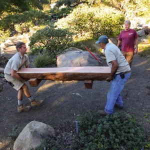 Installation of the Bobbie Jones bench, made from the giant sequoia removed from the Arroyo Section