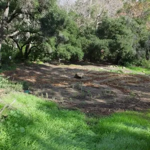 Centennial Maze