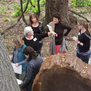 SBBG staff reviewing design for redwood round interpretive sign