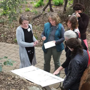 SBBG staff reviewing design for redwood round interpretive sign