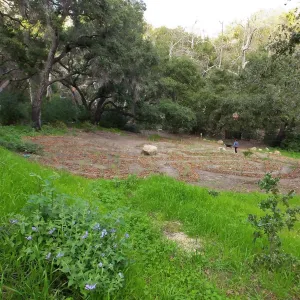 Centennial Maze