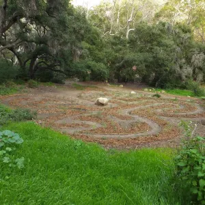 Centennial Maze