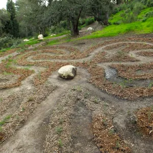 Centennial Maze