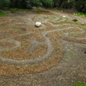 Centennial Maze