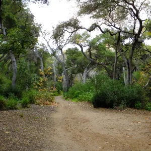 Canyon Trail